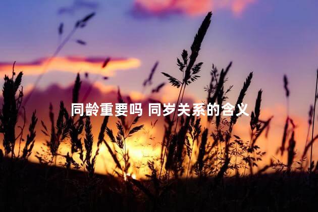 同龄重要吗 同岁关系的含义